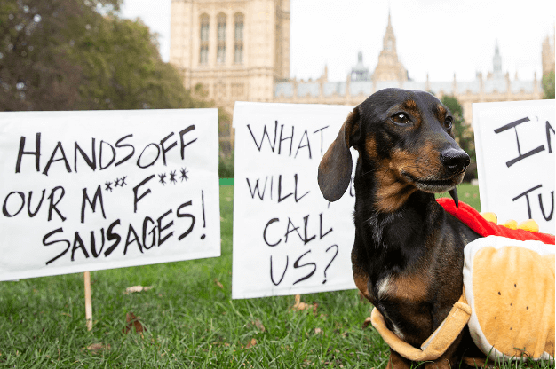 Once challenger brand, Meatless Farms sausage dog activation