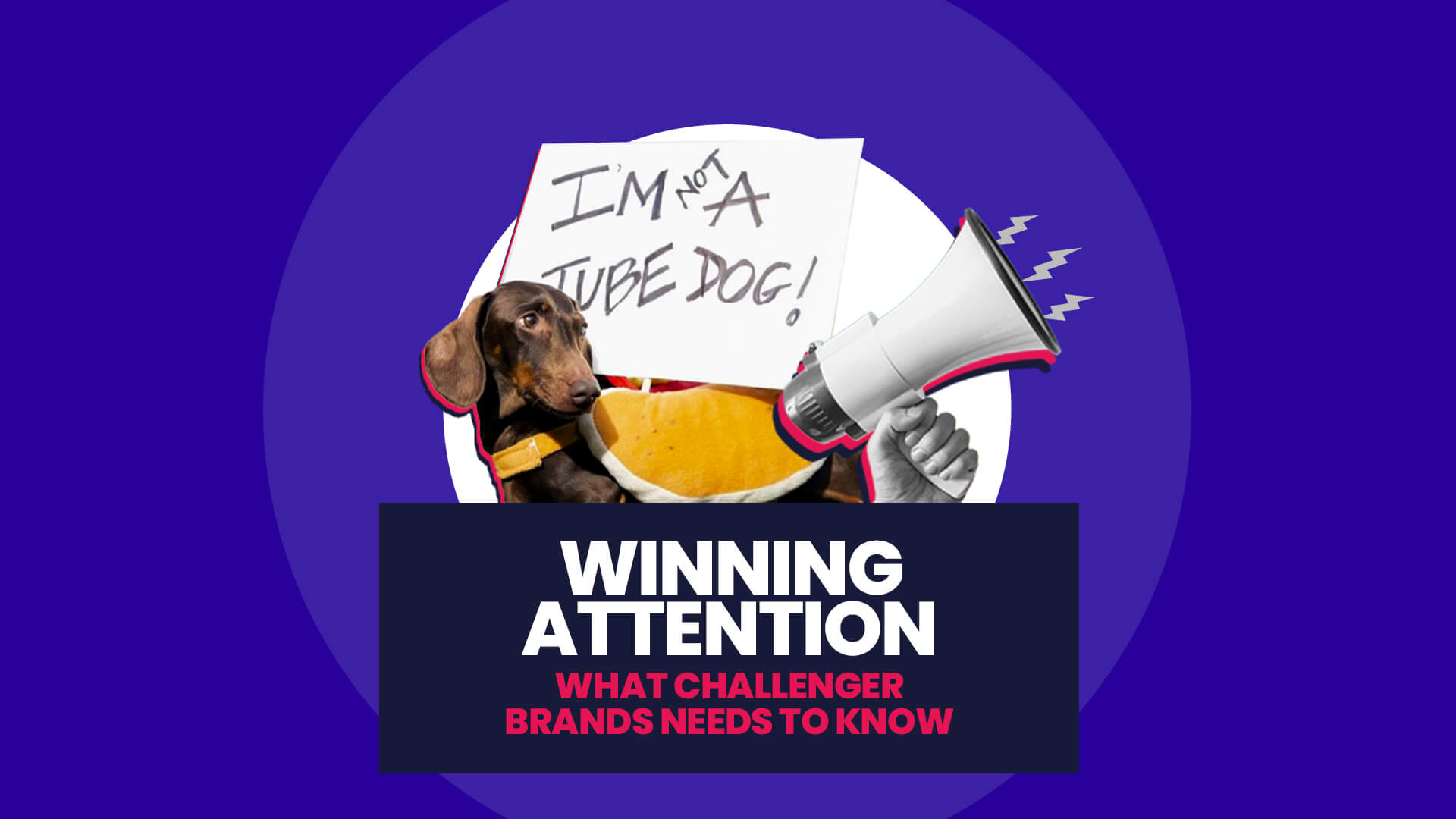 Challenger brands in Nexus style. Blue background with white circle overlaid on this is a Dachshund dog holding a sign and a megaphone overlaid with lightning bolts. This then has a navy banner over the top with 'Winning attention What challenger brands needs to know'
